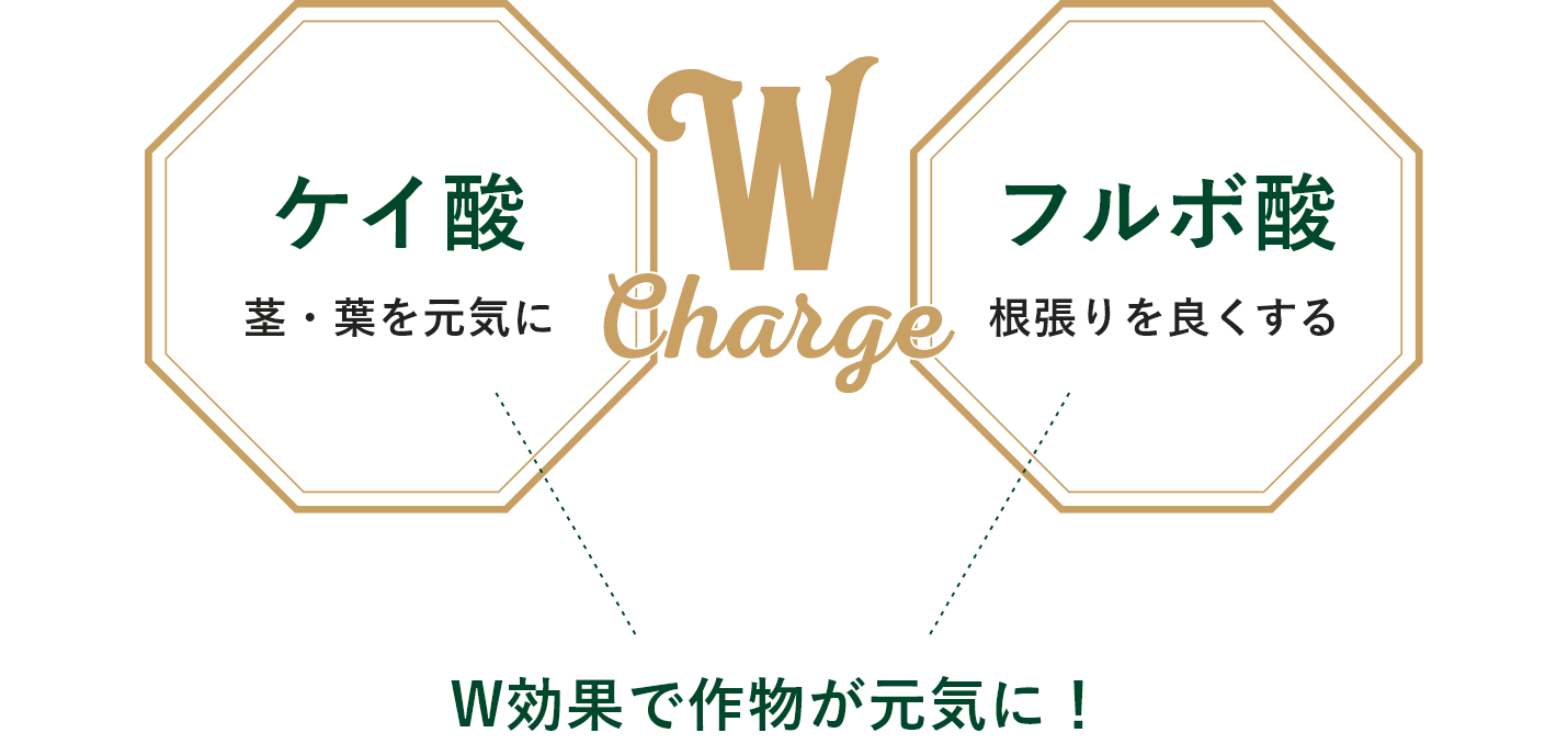 茎・葉を元気に×根張りを良くするケイ酸とフルボ酸のW効果！