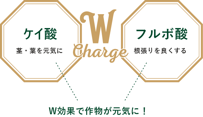 茎・葉を元気に×根張りを良くするケイ酸とフルボ酸のW効果！
